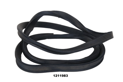 1211983  L80cm.jpg