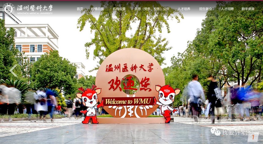 555.jpg