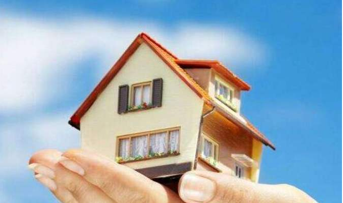 1700532617712664.jpg 1700532615162.jpg