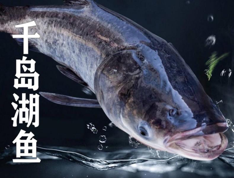千岛湖鱼790x1.jpg