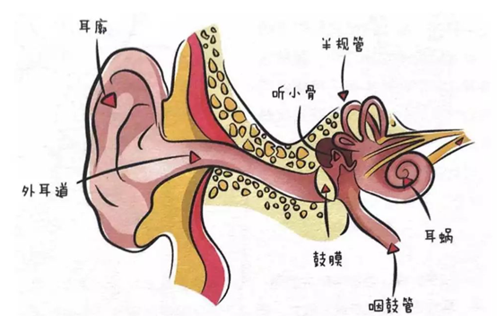 ڶͼ.png