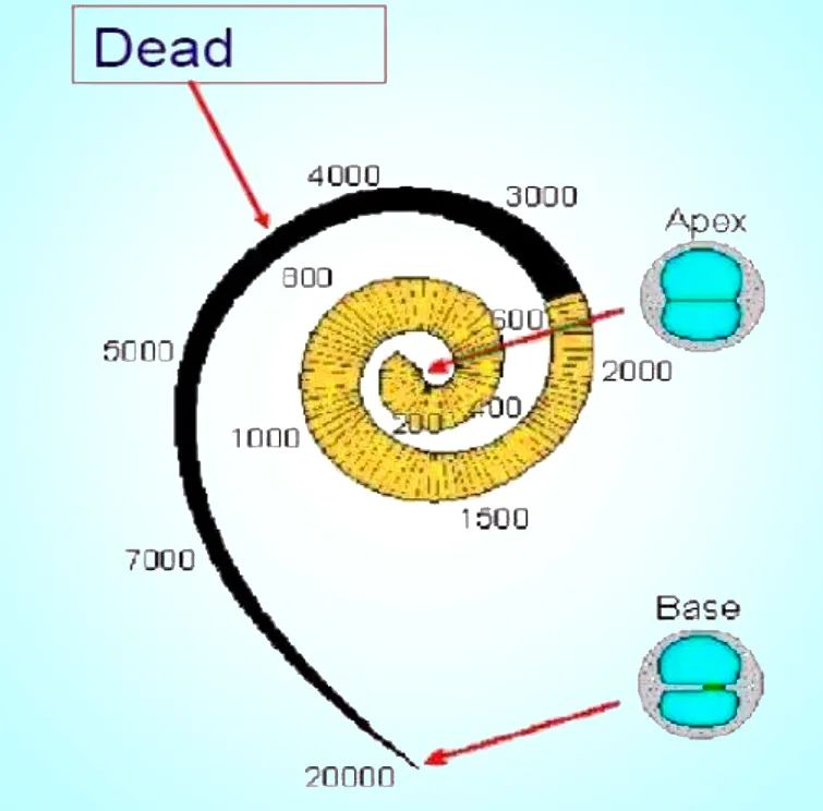 .jpg