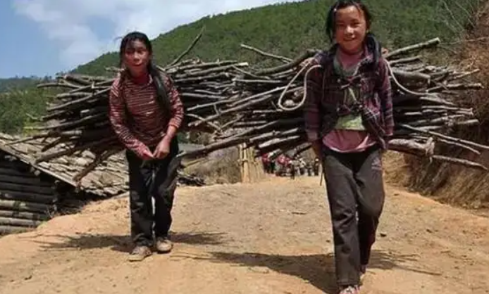 1661067145113083.png image.png