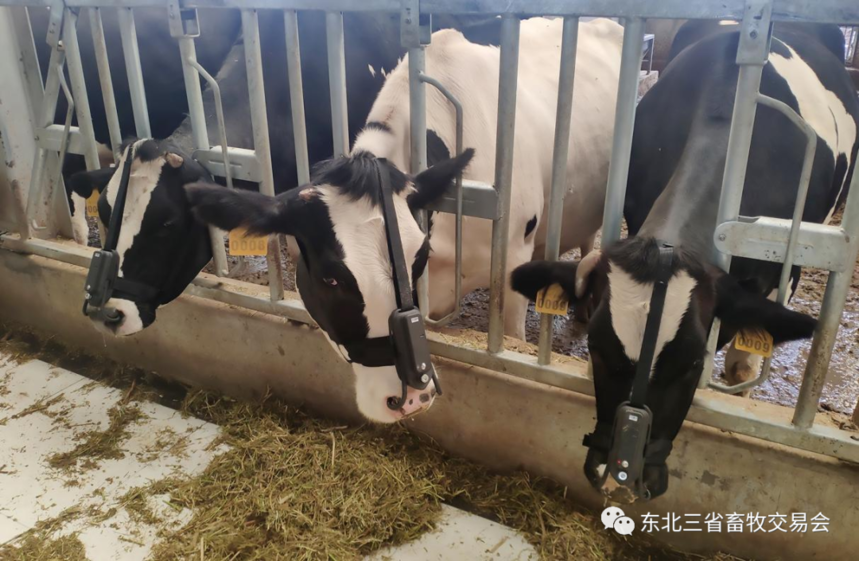 微信图片_20220311103311.png