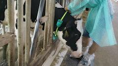 1660014107903509.gif