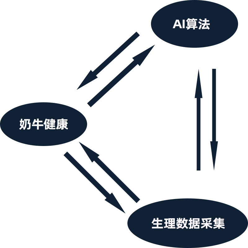 循环.jpg