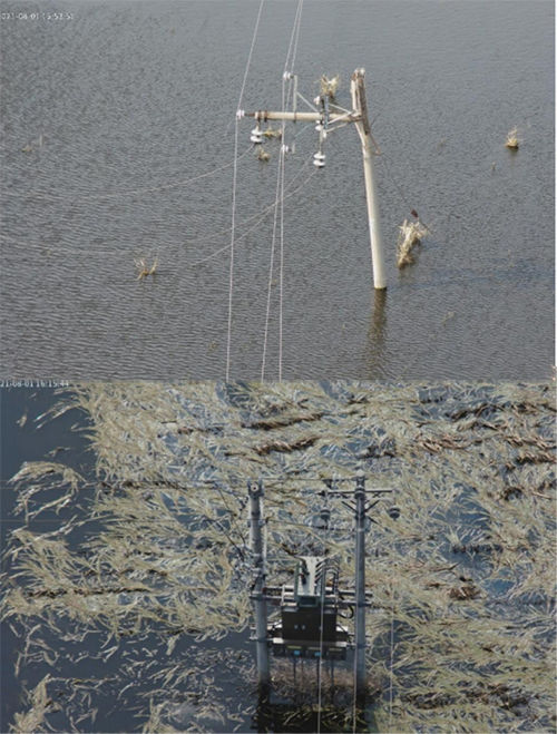 1648002875551353.png 3.png