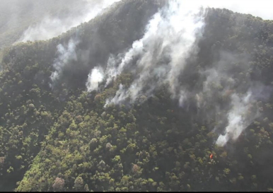 1648017524516101.png 1.png