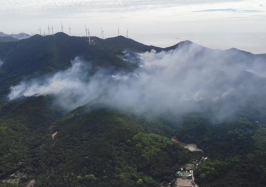 1648017533753249.png 2.png