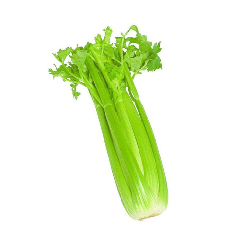 912a87dd7d7e101c.jpg