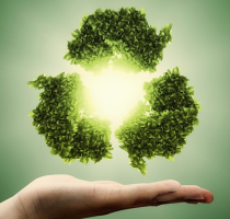 生態環境治理在生態層面的意義