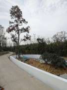 鄭州園林(lín)綠化建設(shè)玻璃鋼景觀樹池