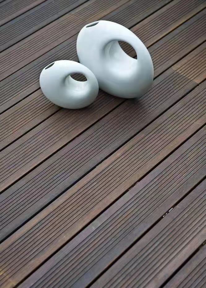 ľ.jpg