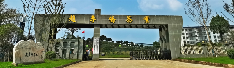 趙李橋茶業(yè)-企業(yè)風(fēng)采-公司大門(mén)