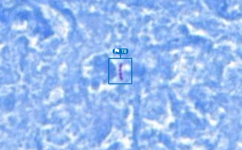 12.png