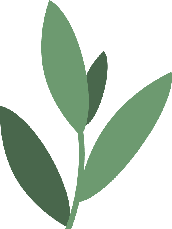 640 (1).png