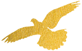 640 (6).png