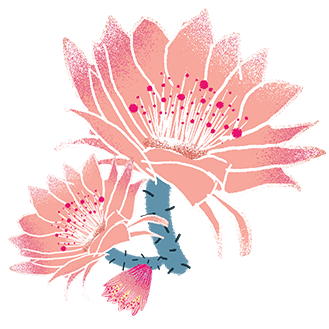 640 (1).png