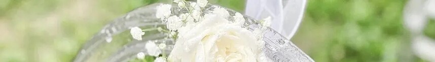640.webp (13).jpg