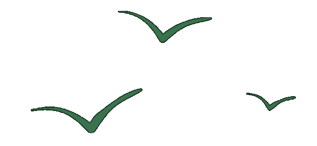 3.gif