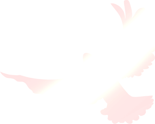 ΢ͼƬ_20250102151511.png