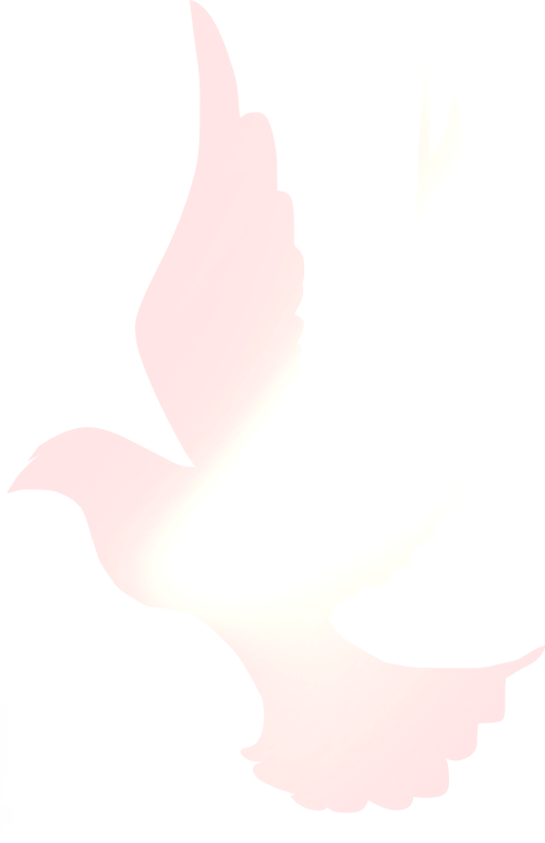 ΢ͼƬ_20250102151514.png