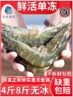蝦青島大蝦大蝦鮮活速凍超大基圍蝦海蝦鮮蝦