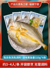 三都港黃魚(yú)鲞黃花魚(yú)大黃魚(yú)生鮮海鮮冷凍【免