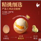 活珠子新鮮13天五香味20枚熟毛蛋雞胚蛋
