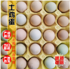 正宗農(nóng)家自養(yǎng)土雞蛋農(nóng)家散養(yǎng)新鮮月子笨雞蛋