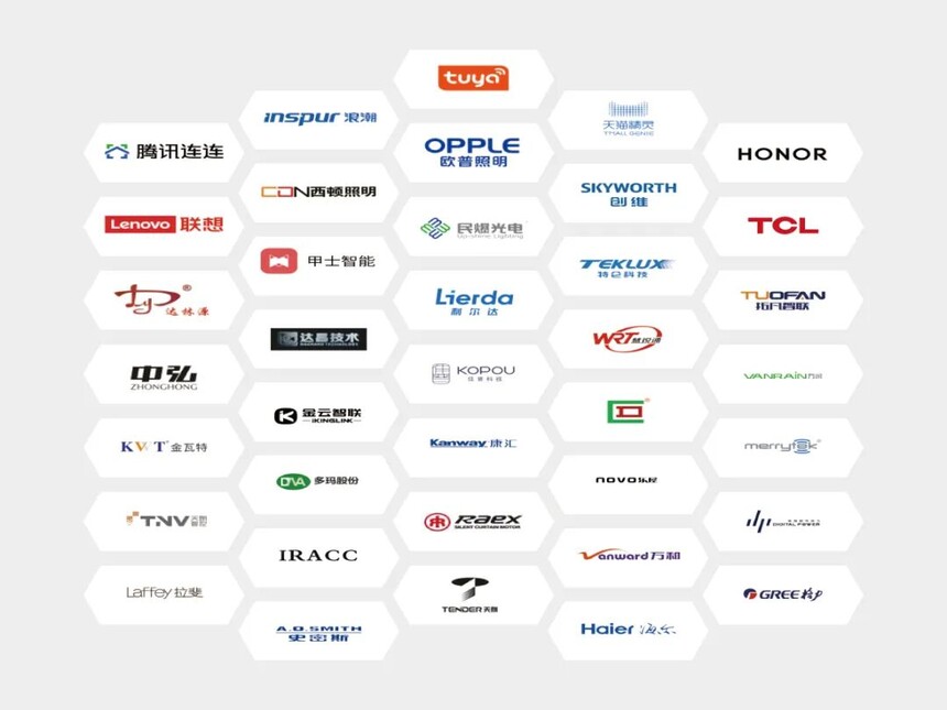 1765431960467107.jpg 7.jpg