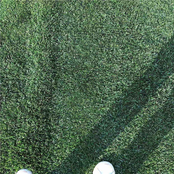 1646891688717798.jpg 201911300956334013225992725.jpg