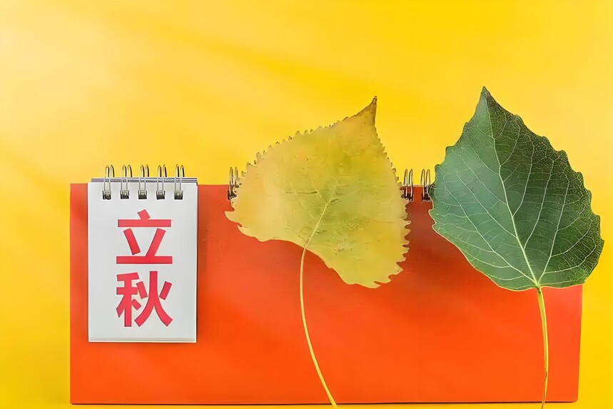e2ee728b-5fcd-474b-ad0b-66019d9420c9.jpg