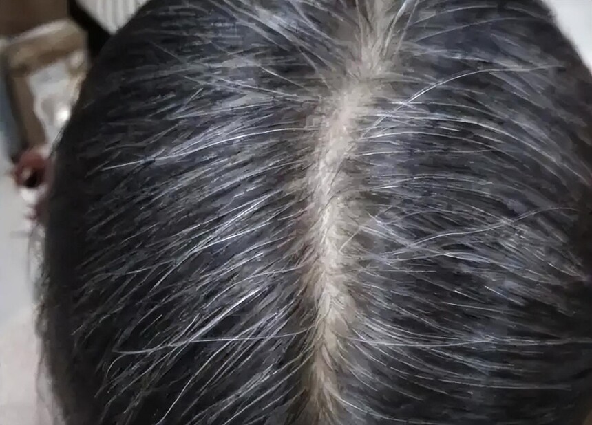 1775022671399130.jpeg a3fe05a3171a7c921f8f7f8a272fd908.jpeg