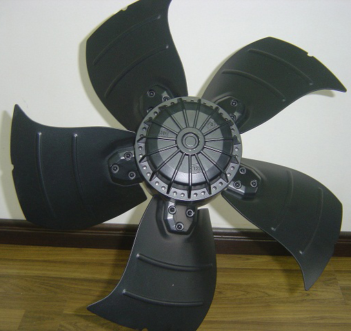 5.JPG