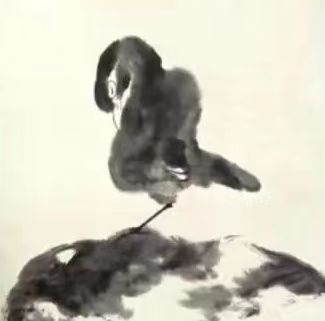 1654216718359353.jpg