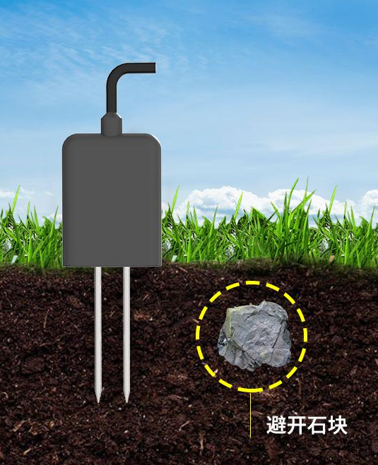 土壤pH传感器1.png