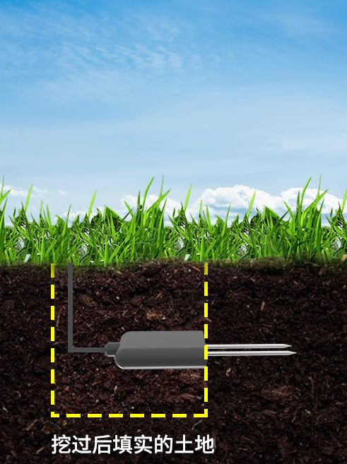 土壤pH传感器2.png