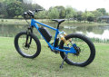 E Bike No.21 Only for appreciation