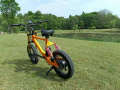 Build-in Battery (1)
