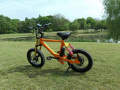 Build-in Battery (2)