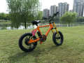 Build-in Battery (3)