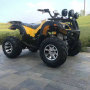 4 wheels (5)