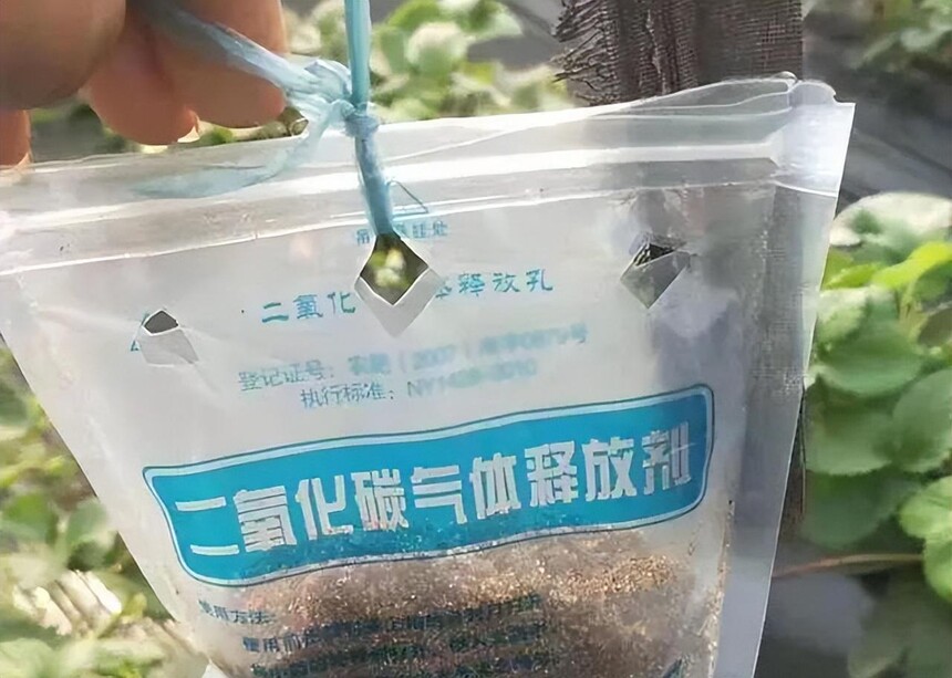 1700816178366774.jpg