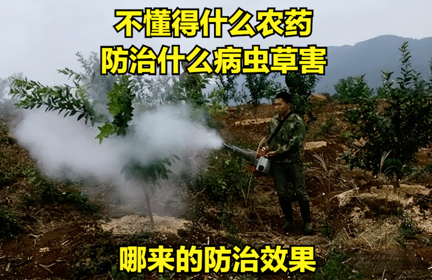 1700816445939090.png