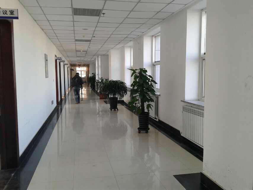 mmexport1473038827142.jpg