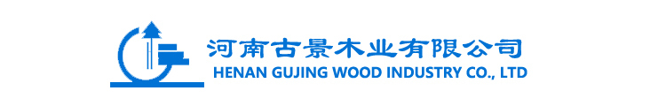 logo99.jpg