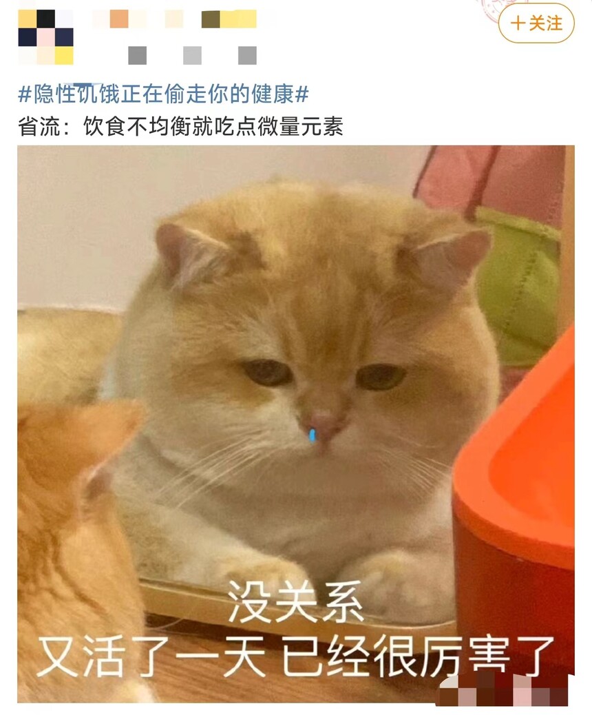 VƬĔz˾-ӡ