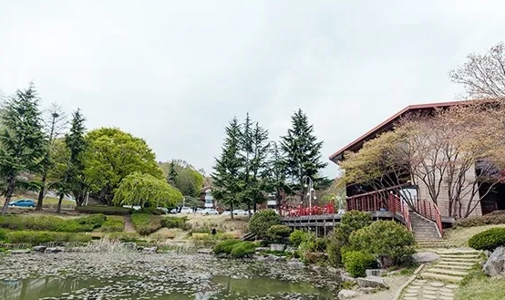 ΢Žͼ_20241017111008.png