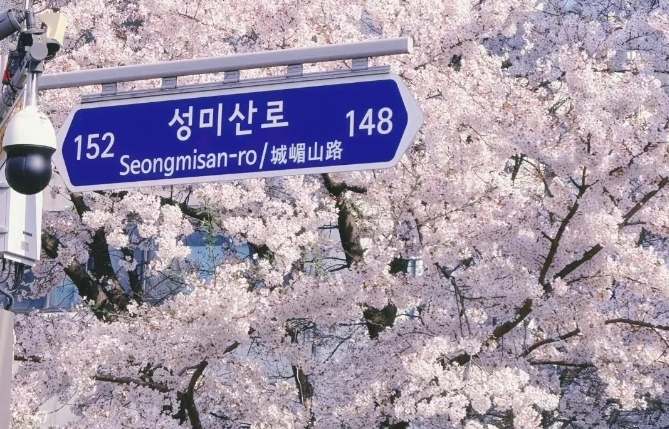 ΢Žͼ_20250329105611.png